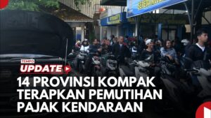 pemutihan pajak